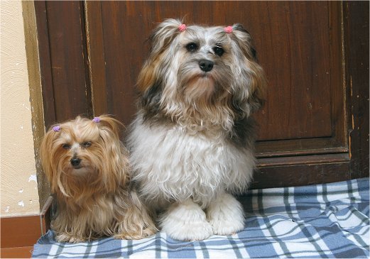 Samen poseren