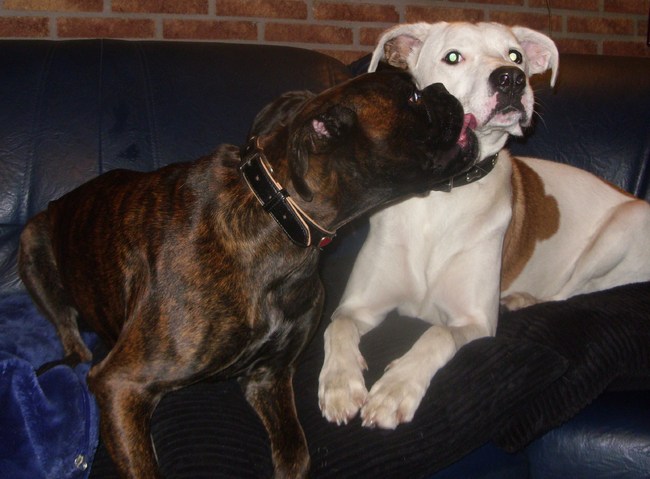 Kiara geeft een dikke smakkerd aan haar vriend Bob