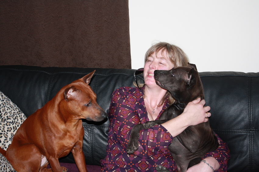 Hallo, hier een fototje van mij en mijn 2 schatten Sally en Amor, 2 Thai Ridgebacks