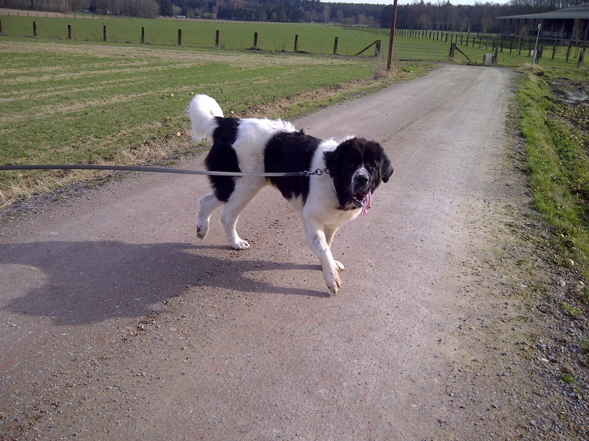 Gezellig op stap richting bos. Daar was je altijd voor te vinden.