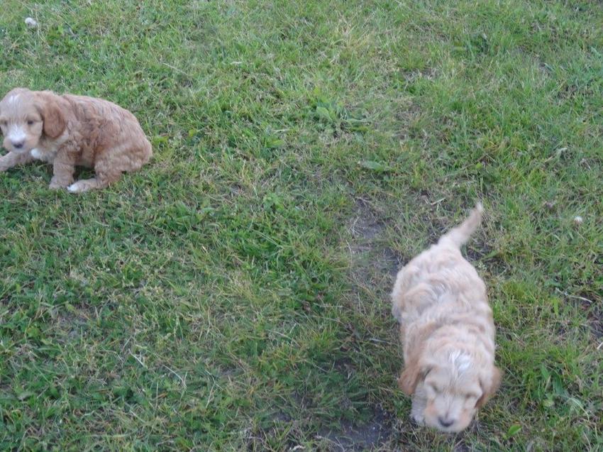 Lekker buiten spelen.