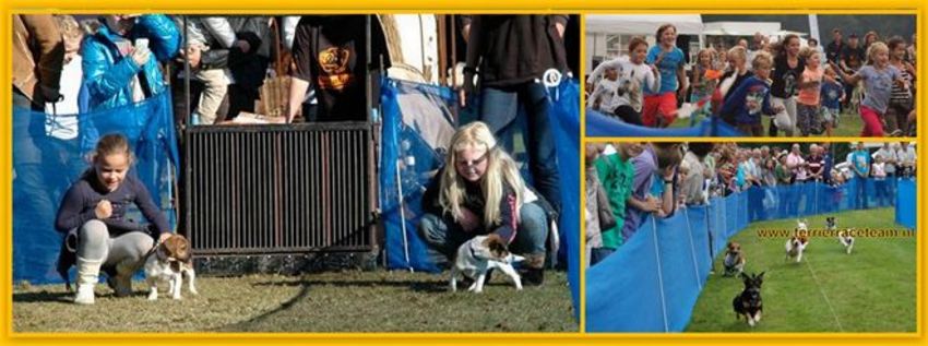 Onze honden vereniging Het Jack Russell Terrier Raceteam.
Hier wat foto's van onze trainingen en evenementen.
Meer info op: www.terrierraceteam.nl 