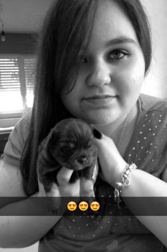 Pebbles, gaan kijken bij de fokker, 3 weken