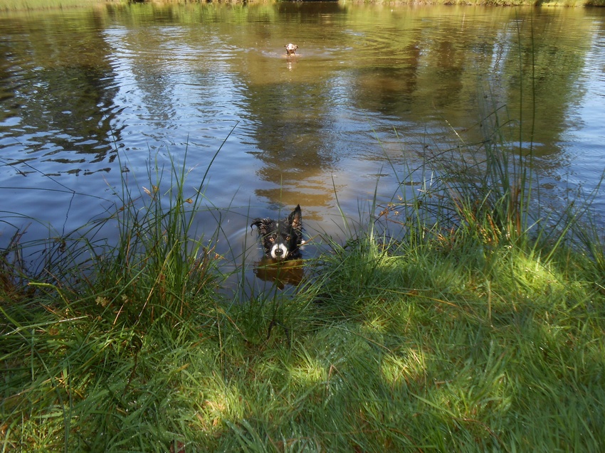 Vantie zuid Frankrijk 