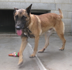 Lieve, lieve Vulcan, ik vergeet je nooit ! (RIP)