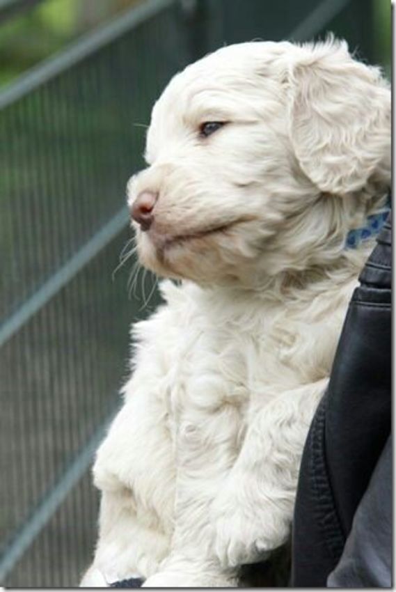 Voor het eerst naar de kinderboerderij.