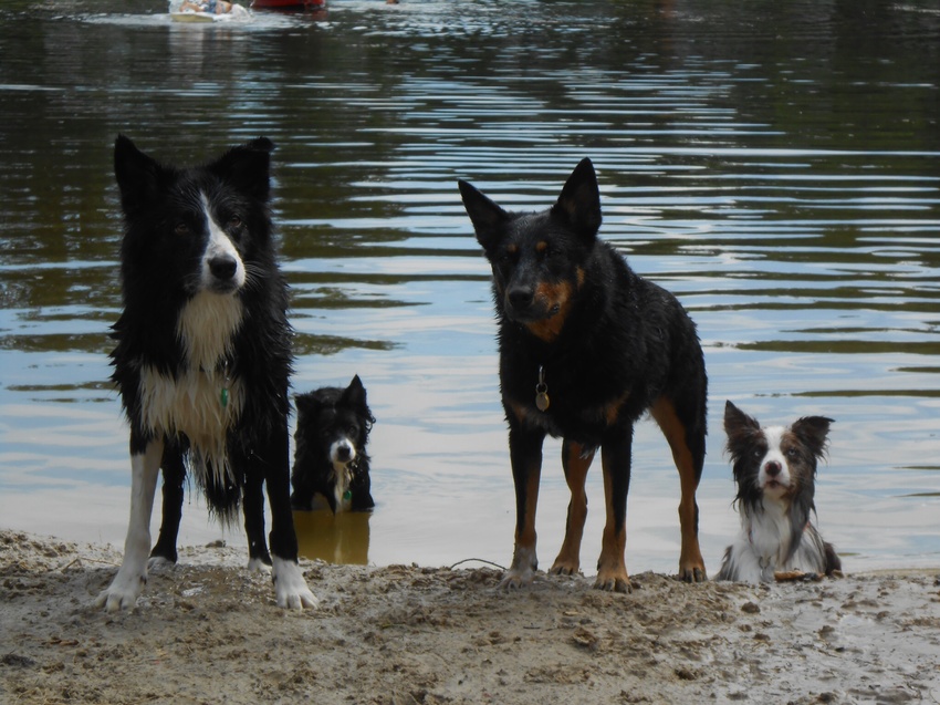 Vakantie schiphorst. 