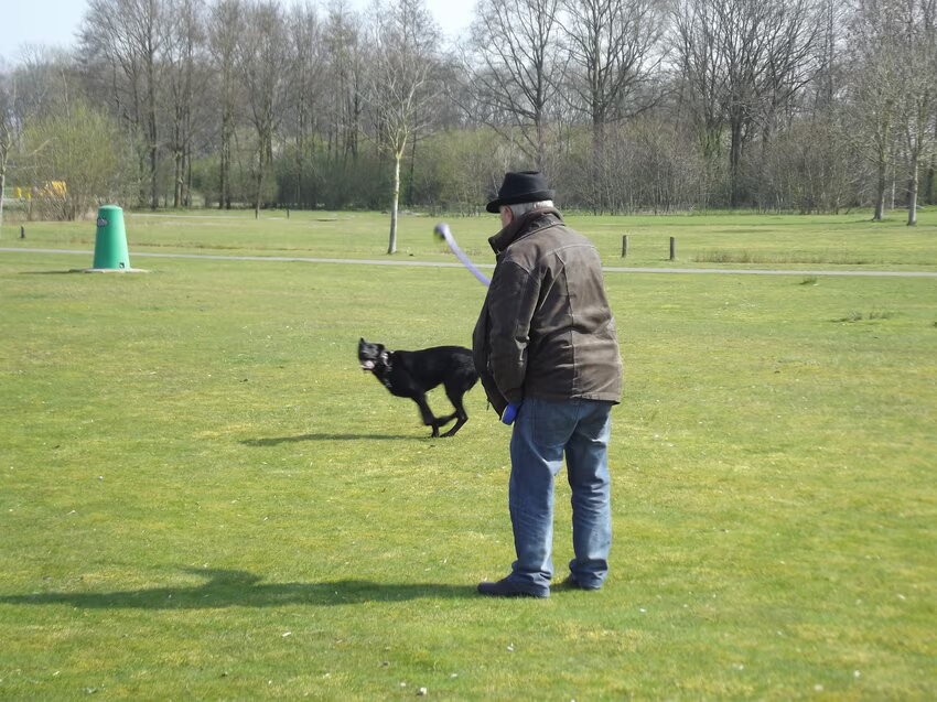 Foto van corrie en blacky