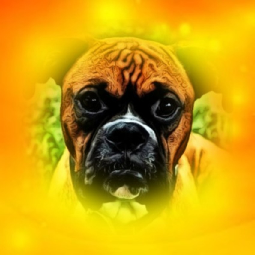 frannie's creations nr2