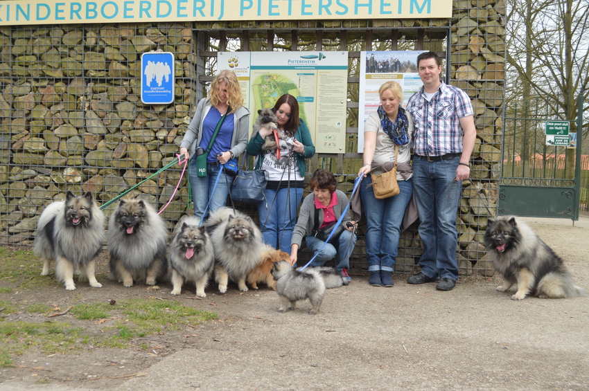 op uitstap met de nieuwe baasjes (7 weken oud)