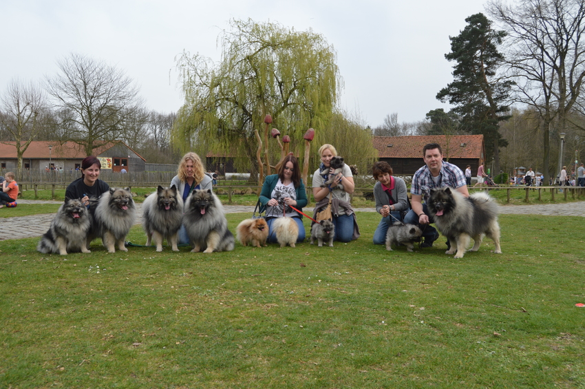 poms op visite daarna op uitstap (7 weken oud)