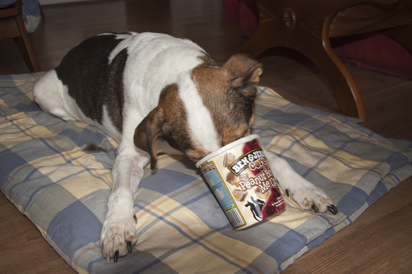 Best handig, zo'n lange snuit