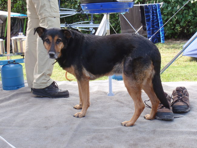 Ook is emy een ster in schooien als iemand aan het koken is.