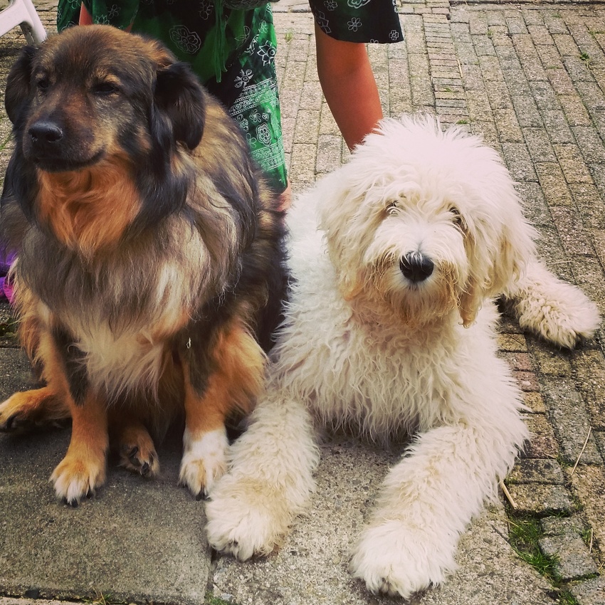 Mijn grote broer en ik????????