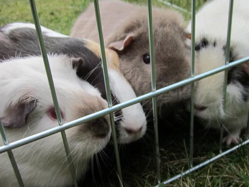 Foto van Valérie, Milo en Noa