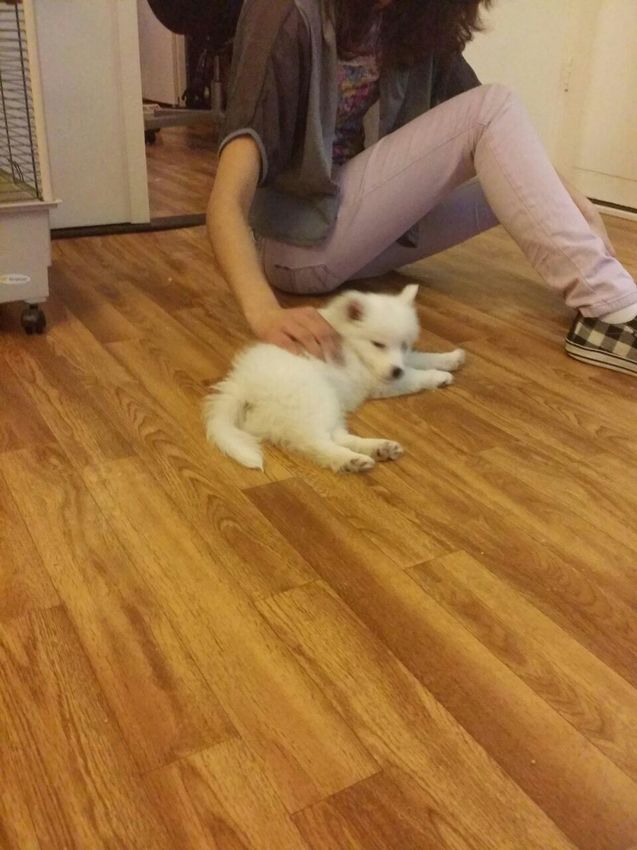 genieten van de aandacht