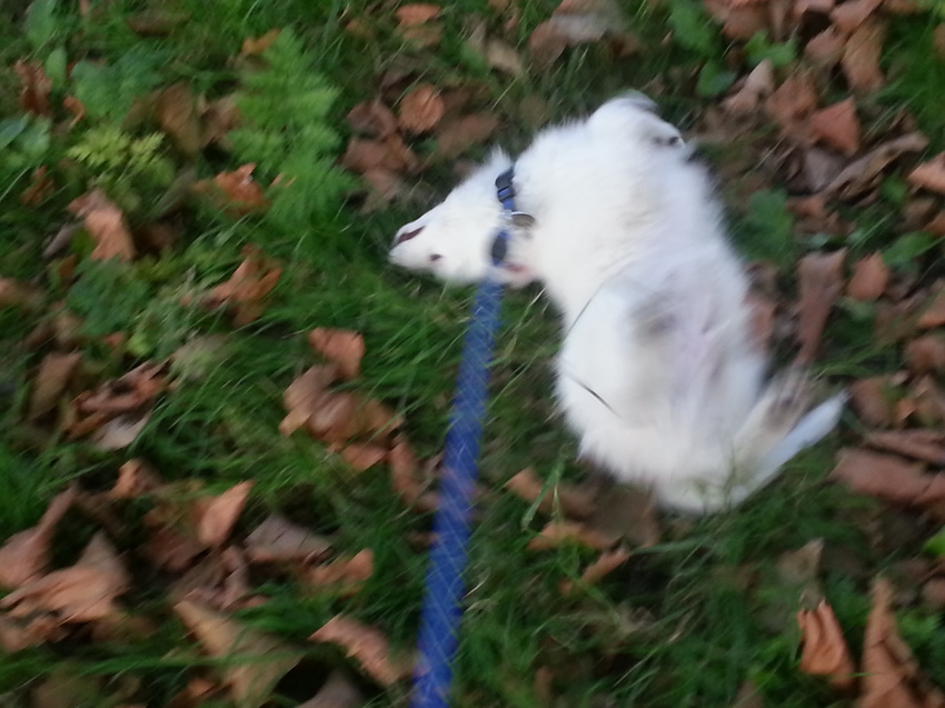 nog even lekker rollen na al dat gegraaf