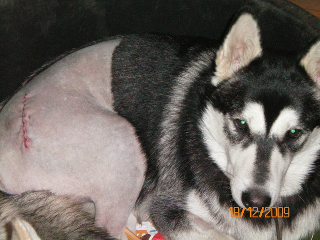 Arme lieve King, ook helemaal toegetakeld..