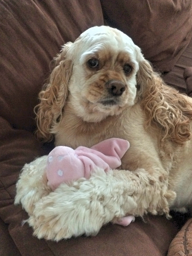 Truus haar favoriete speelgoed!