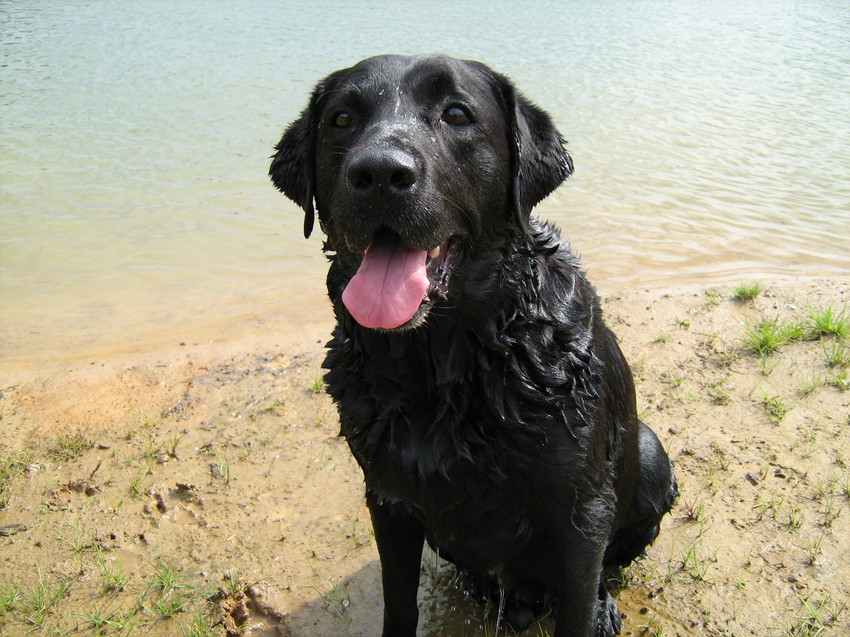 lekker zwemmen was er regelmatig bij