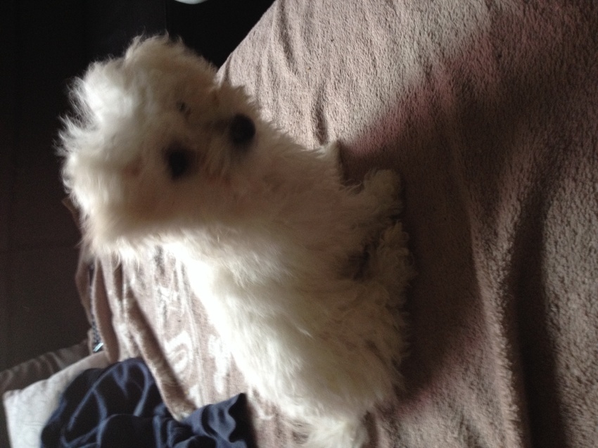 Net gewassen en gekamt