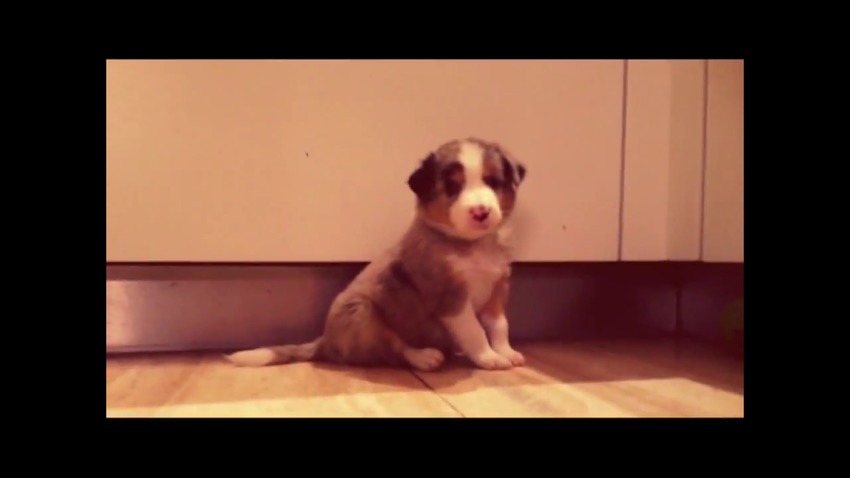 Maylo toen hij rond de 3 weken was!