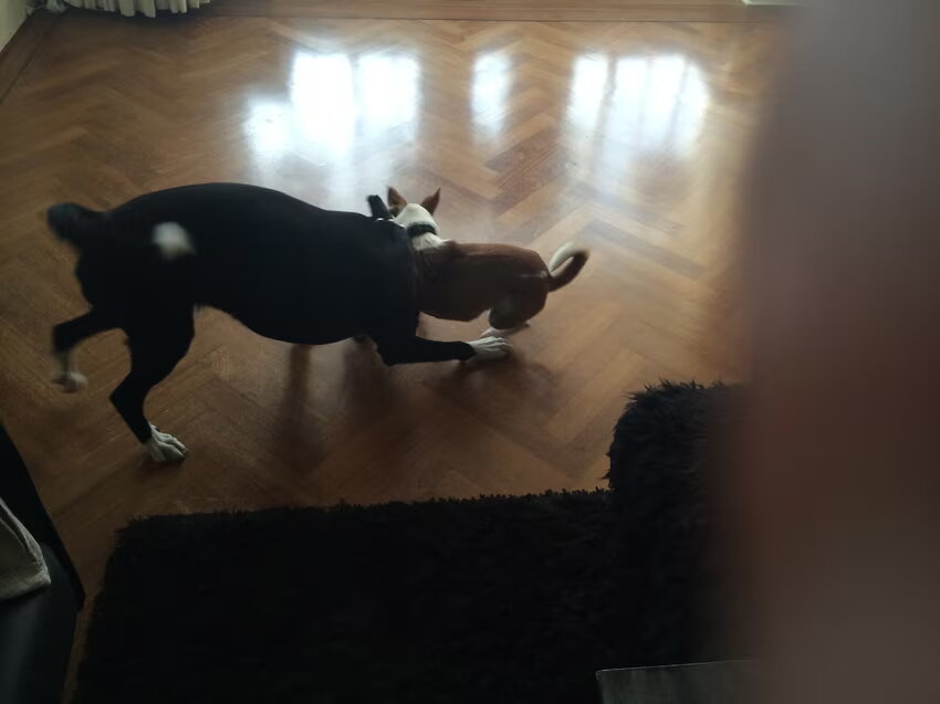 Playtime