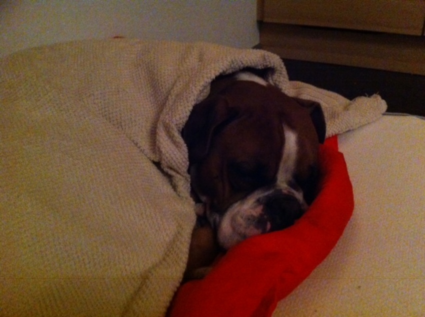 Het is gewoon lekker warm zo!