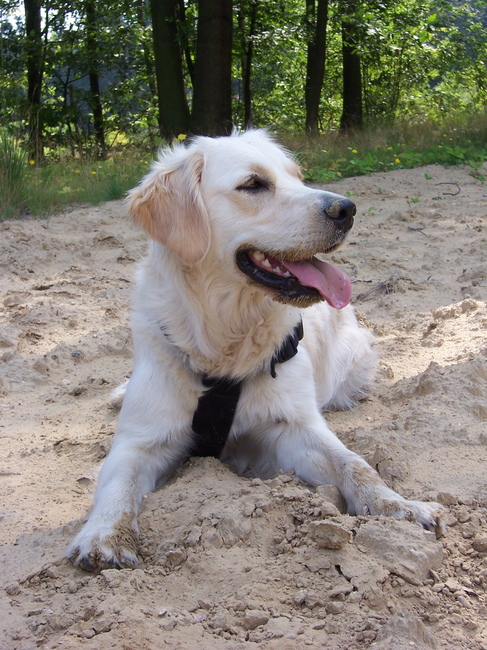 Op vakantie (07-08-09)