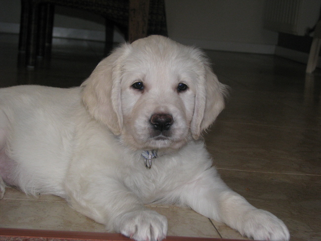 toen was ze nog klein