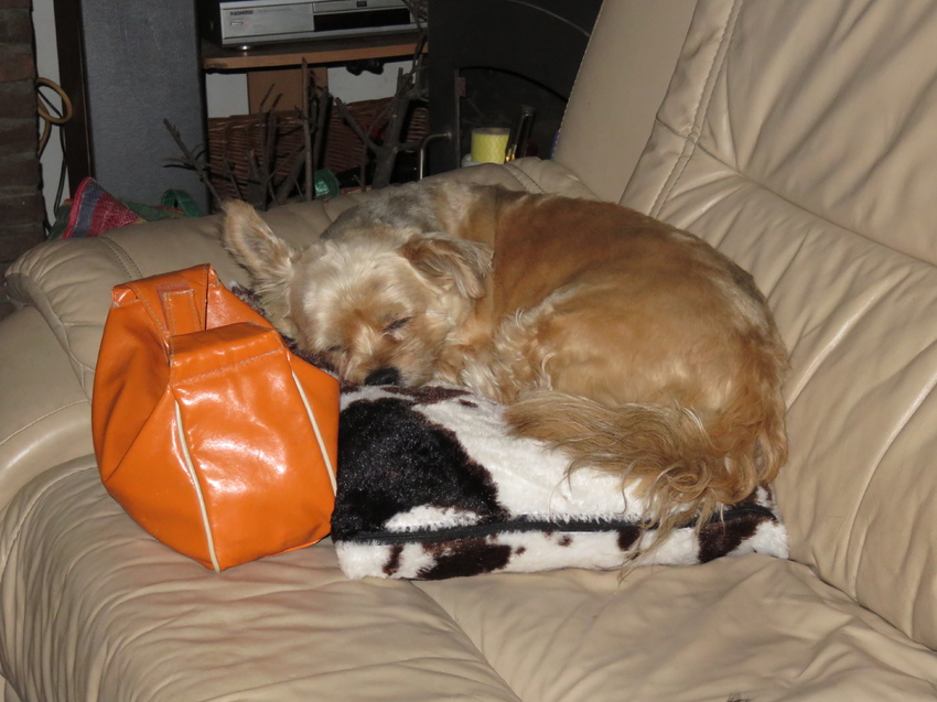 Chillen op de bank... lekker op't kussen waar vrouwke eerst op zat, en in lijflijk contact met vrouwtje haar toiletzakje !