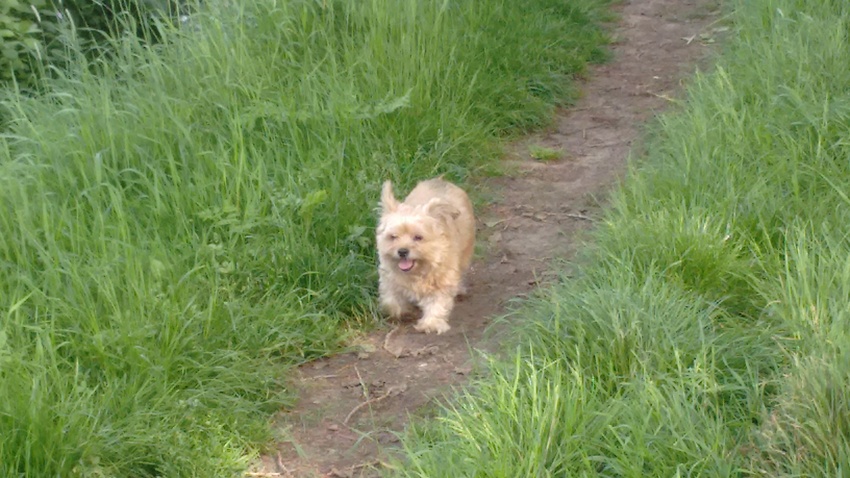 Behalve bij het spelen (Maaike kon als een vliegende pijl 180° draaien van richting tijdens één van haar hardren-vlagen van 