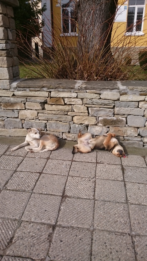 En weer over tot de orde van de dag