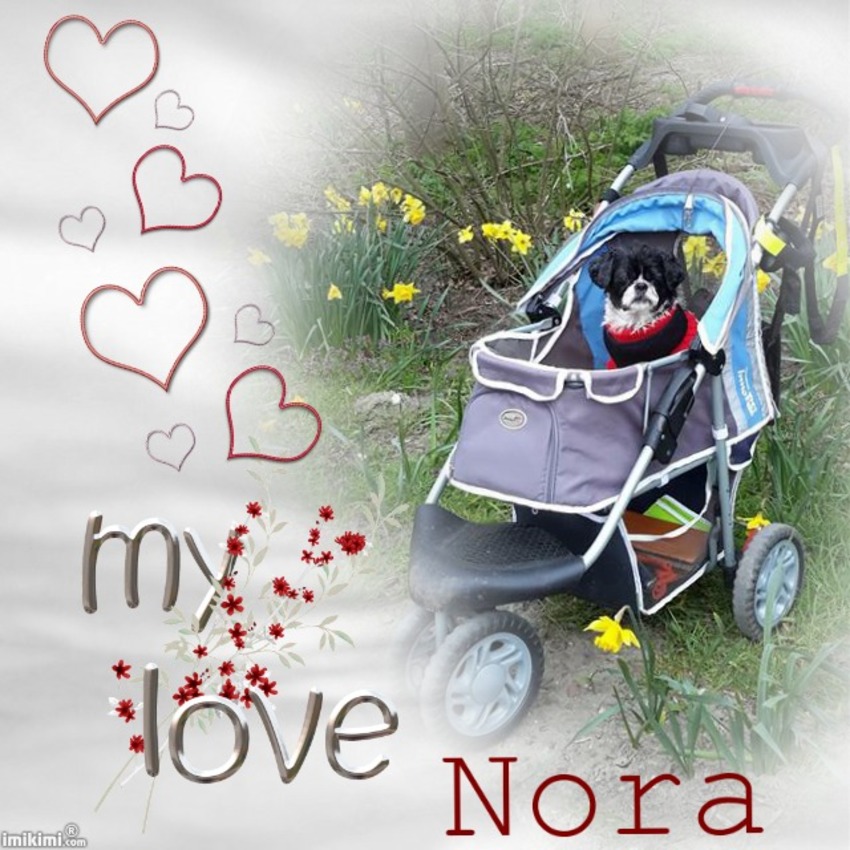 Een dagje Cadzand met ons bijna 14 jarig Noortje!
