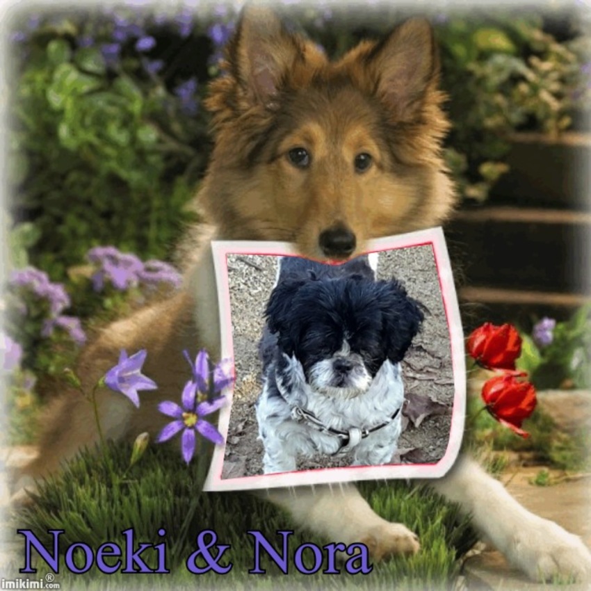 Noortje en Noeki (mijn vroegere hond)