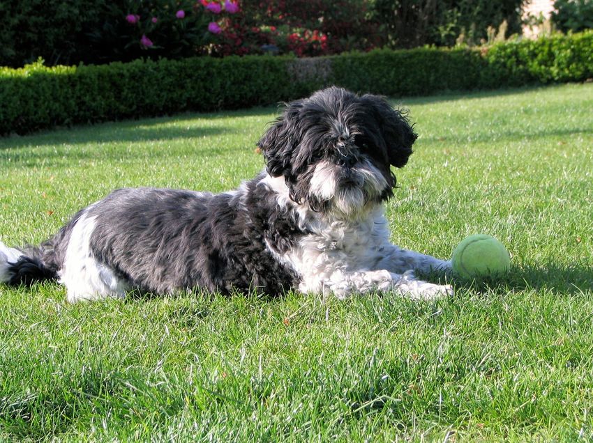 Even genieten van het zonnetje!