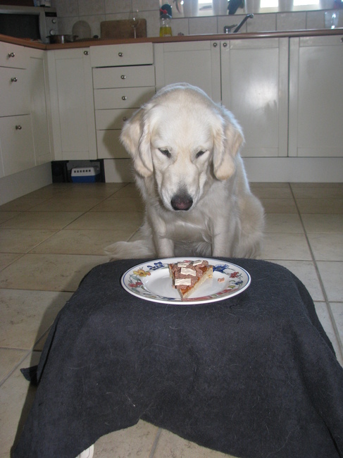 een taart voor ziggy's verjaardag, ze wist niet of ze er wel vanaf kon blijven