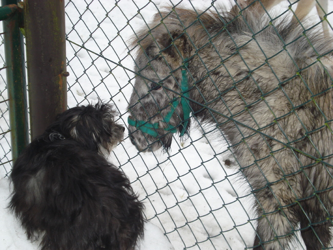 Tommie met zijn tuinmaatje