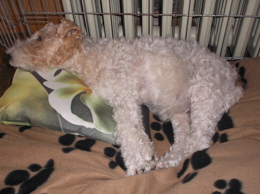 Eff rusten in mijn huisje