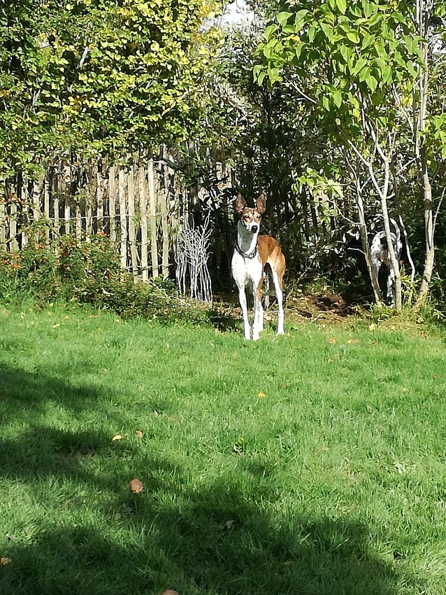 Wij zijn in Chez MaraNoa , bij Anneke en Marcel.