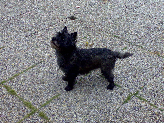 Dit is ons tweede schatje Chelsea.