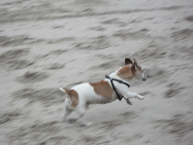 Achter de stok aan!!!!