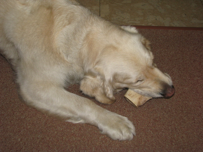 nog een X, met haar kont omhoog :D