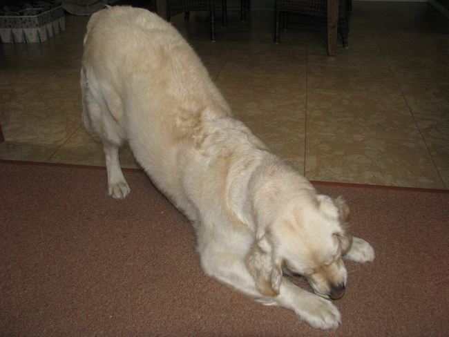 dit is toch heerlijk, hoe ze geniet