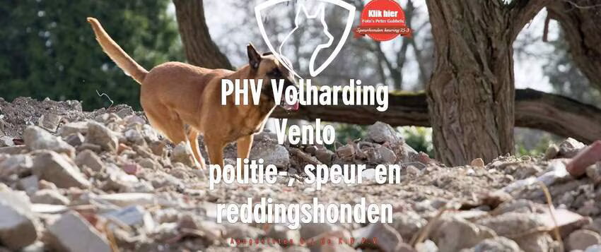 Iedereen is welkom bij ons. Het opleiden van zowel hond als…