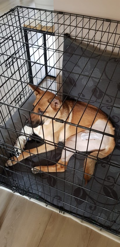 thuis na de operatie