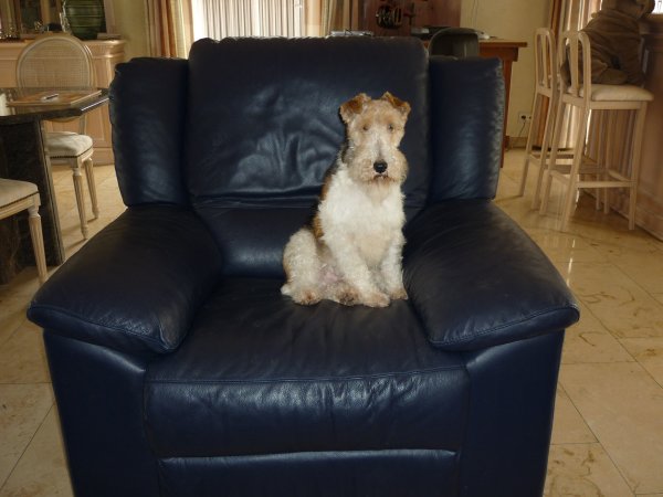 lekker gezellig in de zetel, terwijl het buiten aan het vriezen is