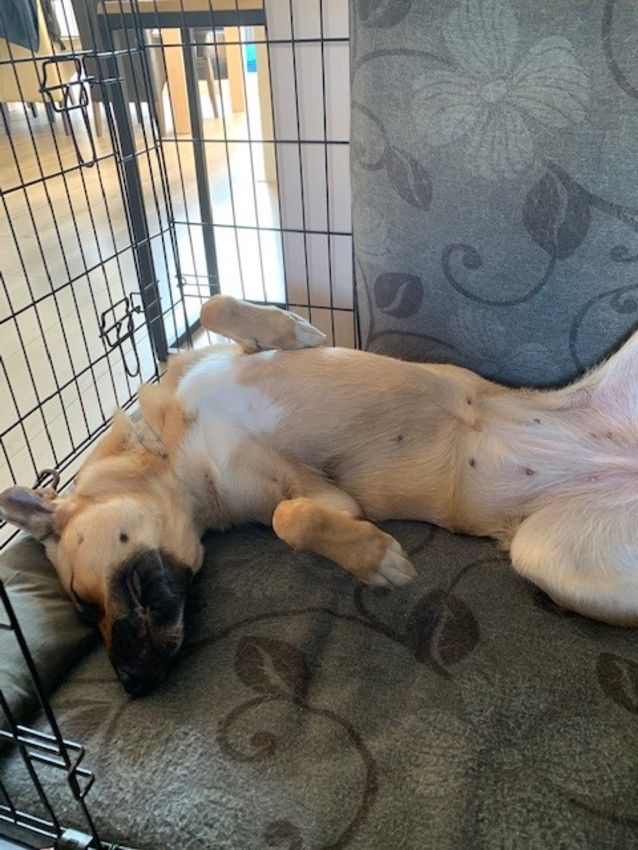 wandelen met brace is erg vermoeiend. Lucy is voldaan