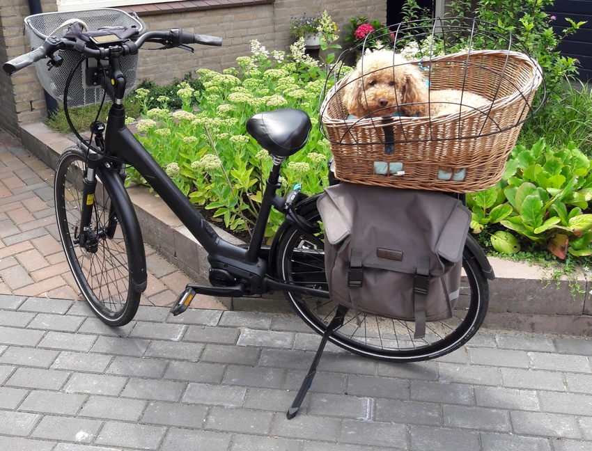 Bewustzijn munt defect Hondenmand E-bike | HondenForum