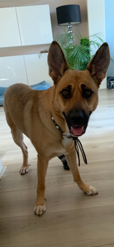 Gekke Lucy.
Ze is altijd blij